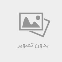 •بیشه زاری غرق در شکوفه  •